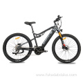 Professional and durable mountain electric bike